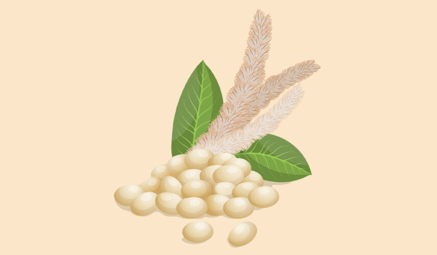 Amaranth: What Is, Uses, Benefits, Content, and Safety